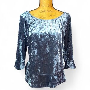 Zac & Rachel Petite blue velour blouse Women’s size large | ag